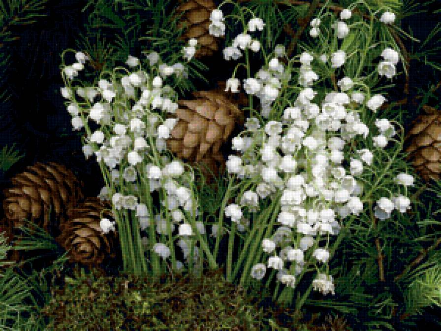 Ландыши и шишки1 - предпросмотр