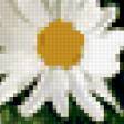Предпросмотр схемы вышивки «Ромашки» (№389356)