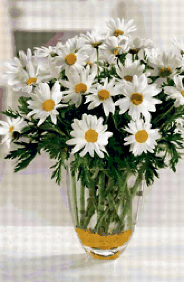 Ромашки - цветы, ромашки - предпросмотр