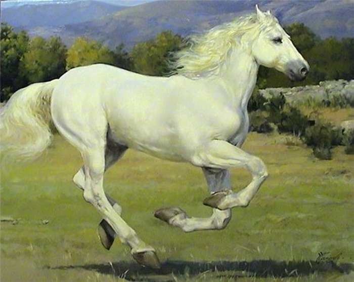 белая лошадь - лошадь - оригинал