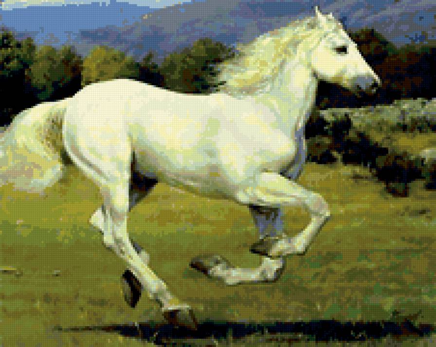 белая лошадь - лошадь - предпросмотр