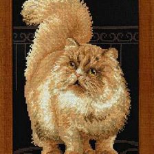 Схема вышивки «рыжик»