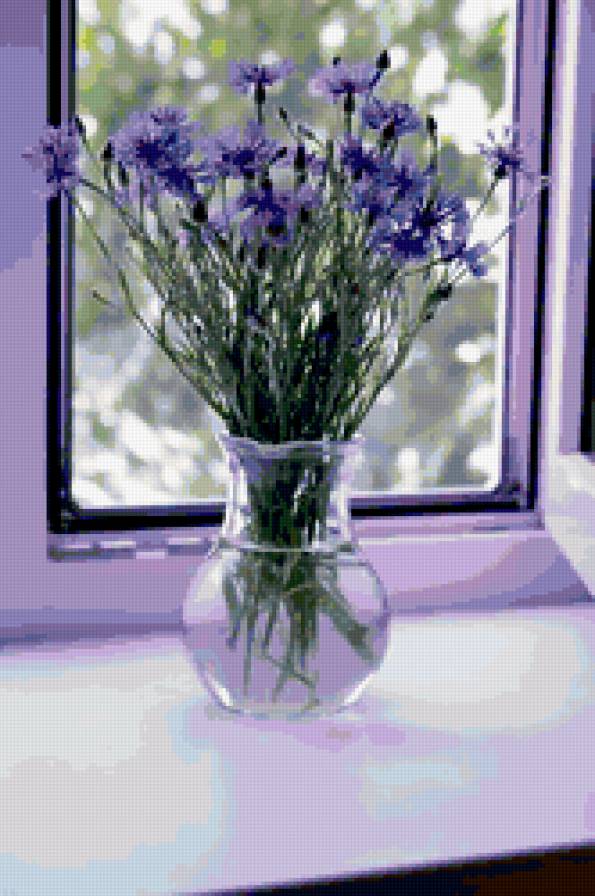 васильки - окно, букет, васильки, цветы - предпросмотр