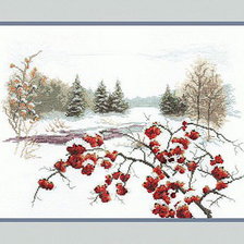 веточка рябины