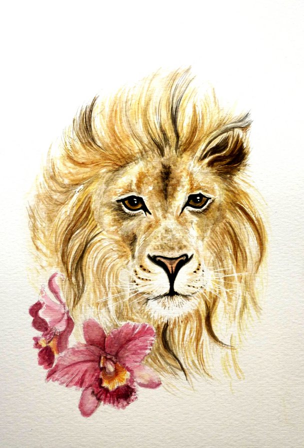 Лев и Орхидеи - цветы, орхидея, львы, лев, дикие кошки, животные - оригинал