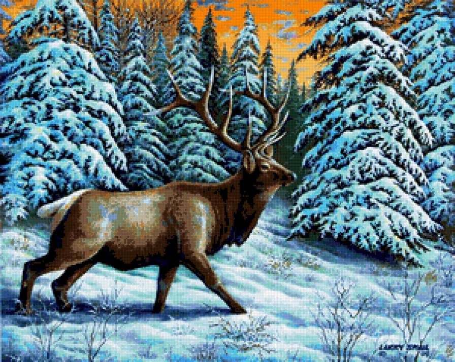 Олень зимой - зима, снег, лес, олени, сугробы, елки, олень, животные - предпросмотр