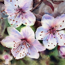 Схема вышивки «цветы»