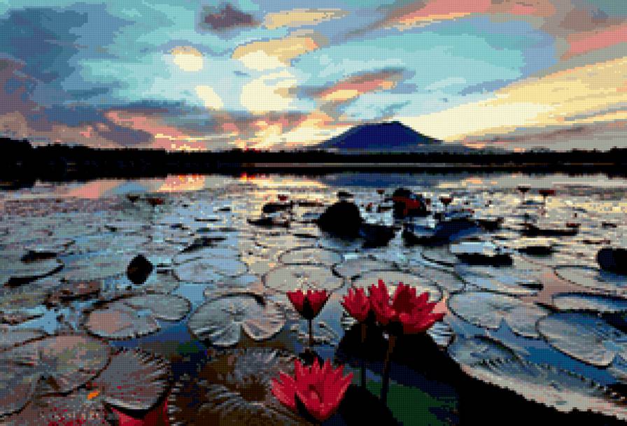 Закат - природа, лилия, вода, небо, пейзаж, лотос, закат, красиво - предпросмотр