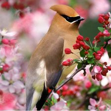 Птичка в цветах