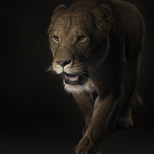 Схема вышивки «величие»