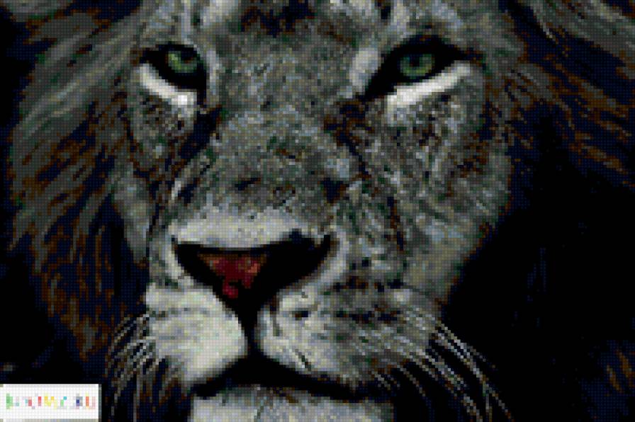 Красивый взгляд - предпросмотр