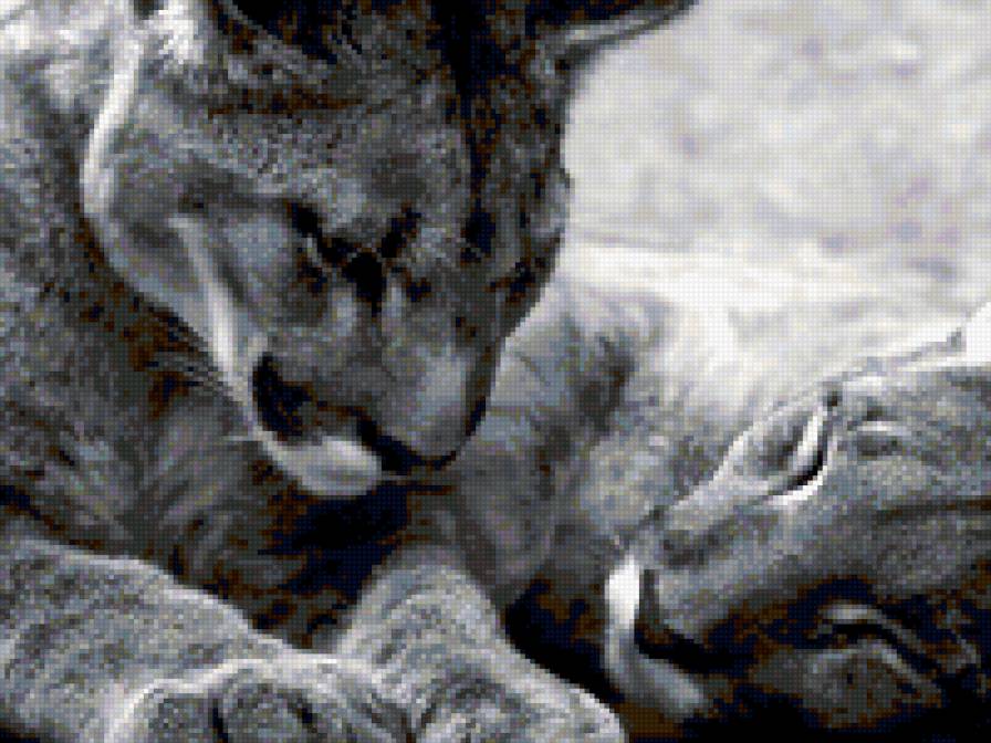 молодая пара - предпросмотр