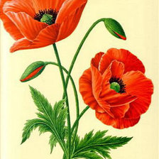 Схема вышивки «№390314»