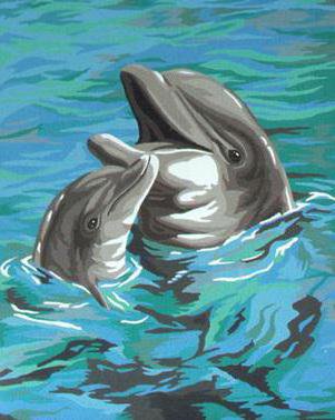 delfini - delfini, animals - оригинал