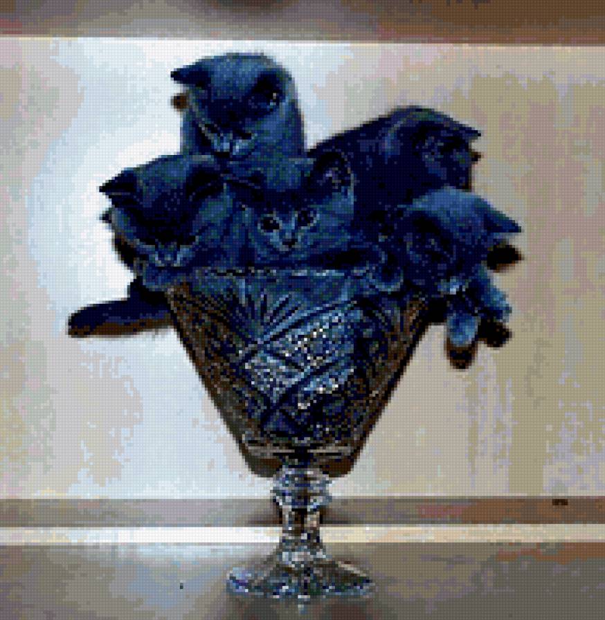 котята в бокале - кошки, котята - предпросмотр