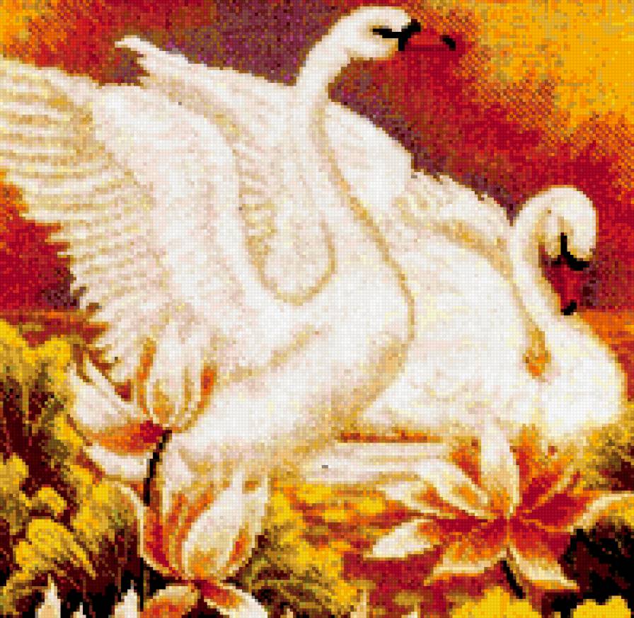 Лебеди - пара, нежность, птицы, лебеди - предпросмотр