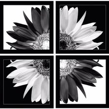 Схема вышивки «Sunflower»