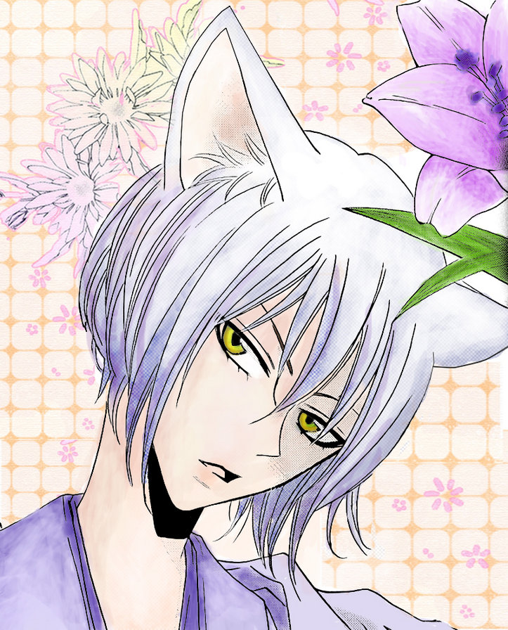 Томоэ Кун - аниме, демон лис - оригинал