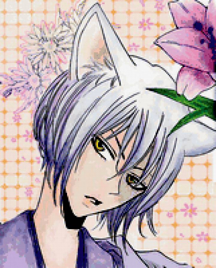 Томоэ Кун - аниме, демон лис - предпросмотр