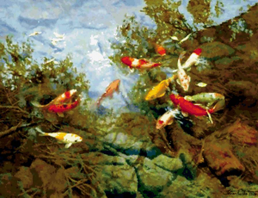 Рыбки в пруду - пруд, природа, рыбки - предпросмотр