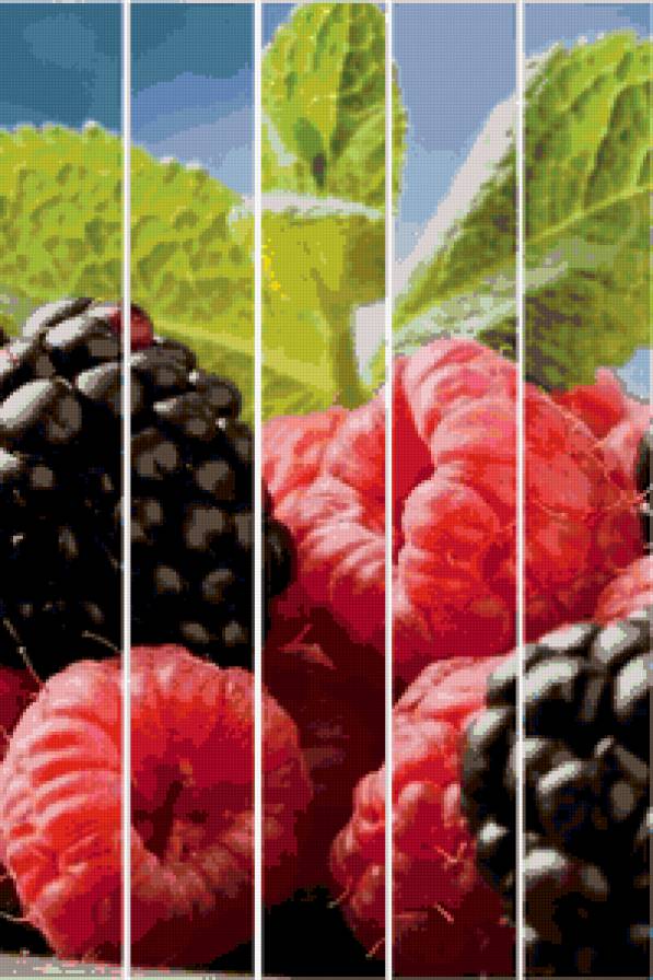 Ягоды - предпросмотр