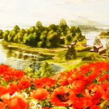 Схема вышивки «маки»