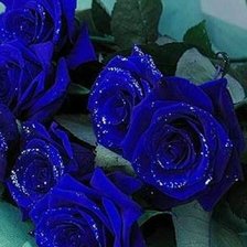 Оригинал схемы вышивки «Синие розы» (№391351)