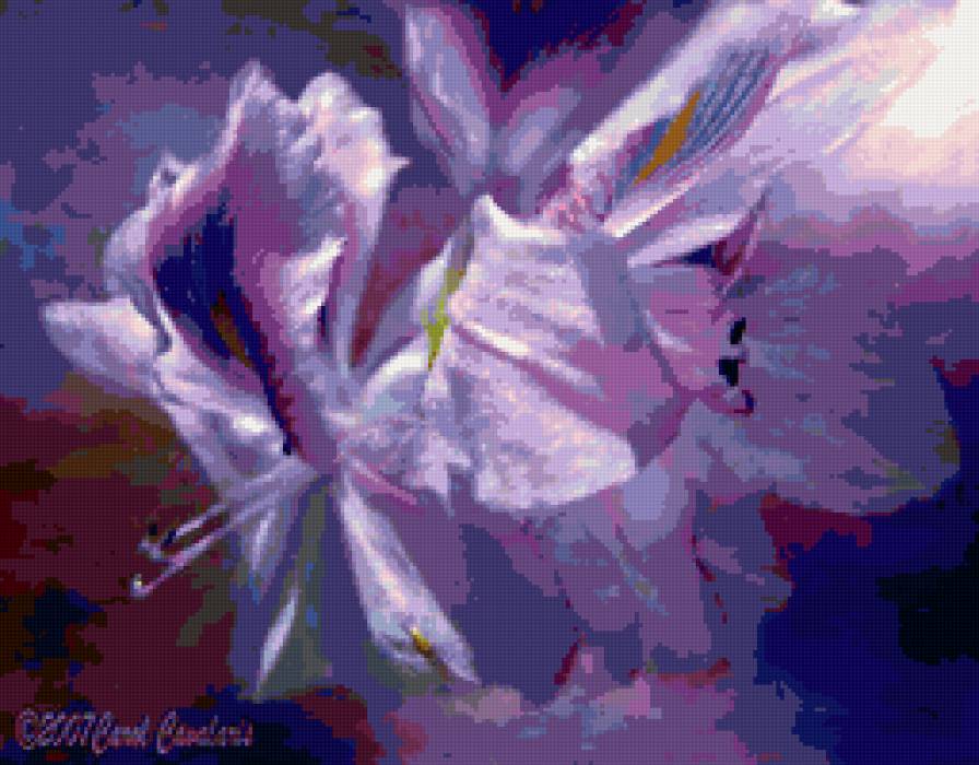 Лиловые лилии - цветы, лилия - предпросмотр