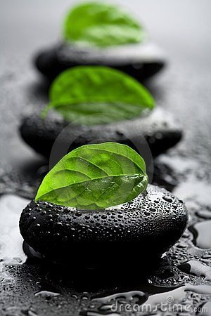 Черно-зеленый - дождь, листья, камни - оригинал