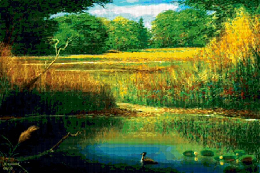 Утка - птицы, река, пейзаж, утка, пруд - предпросмотр