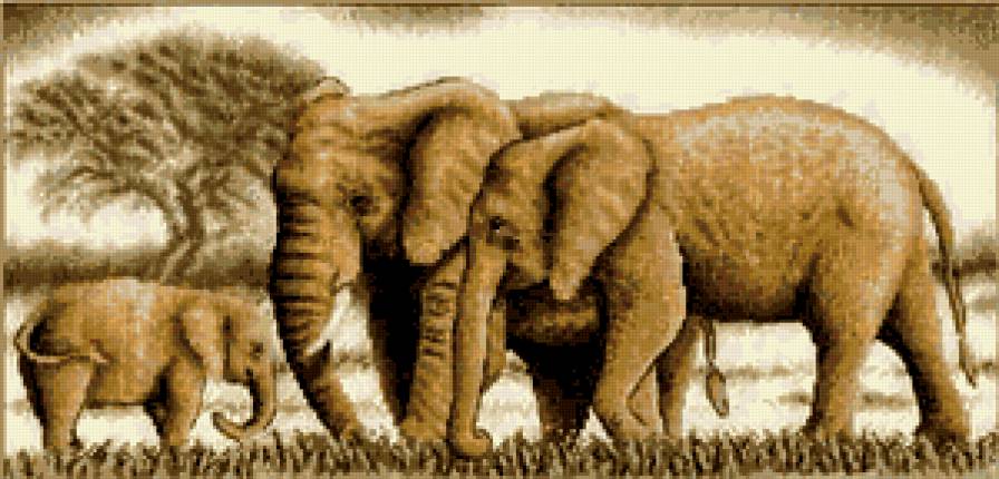 Слоны 1 - слоны, животные - предпросмотр