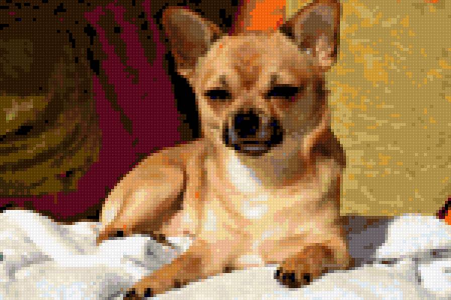 СПАРКІ - предпросмотр