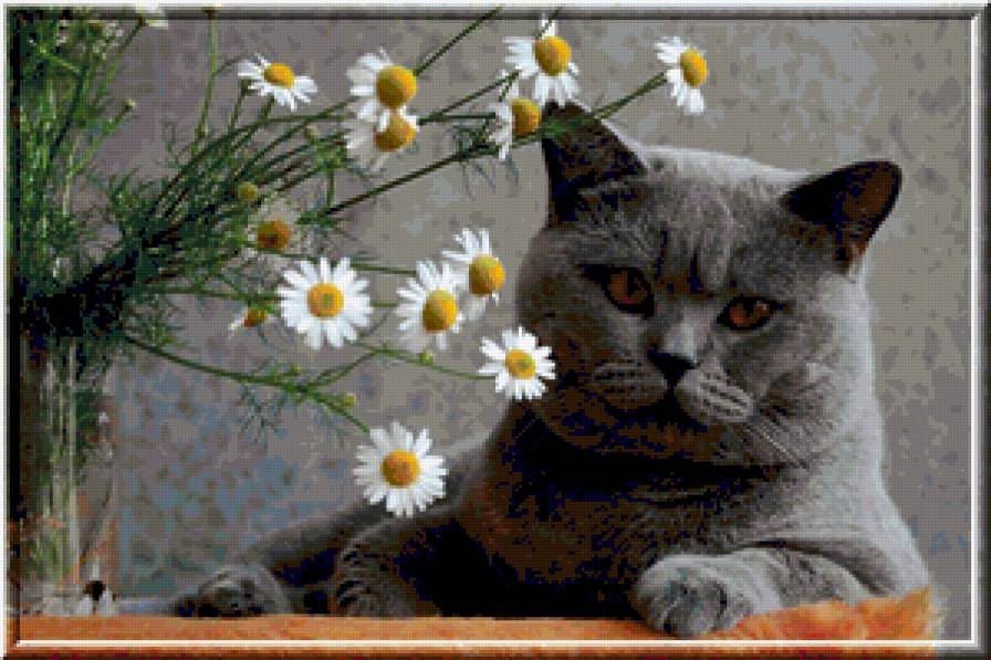 для души - предпросмотр