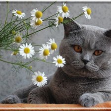 Схема вышивки «для души»