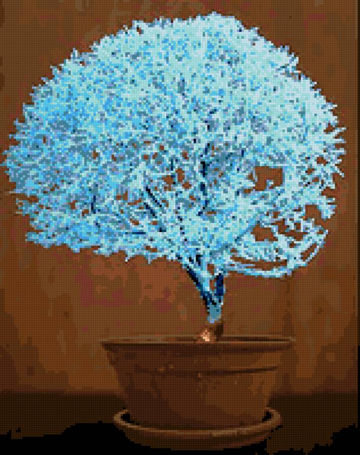 голубой бонсай - деревья, бонсай - предпросмотр
