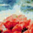 Предпросмотр схемы вышивки «маки» (№391543)