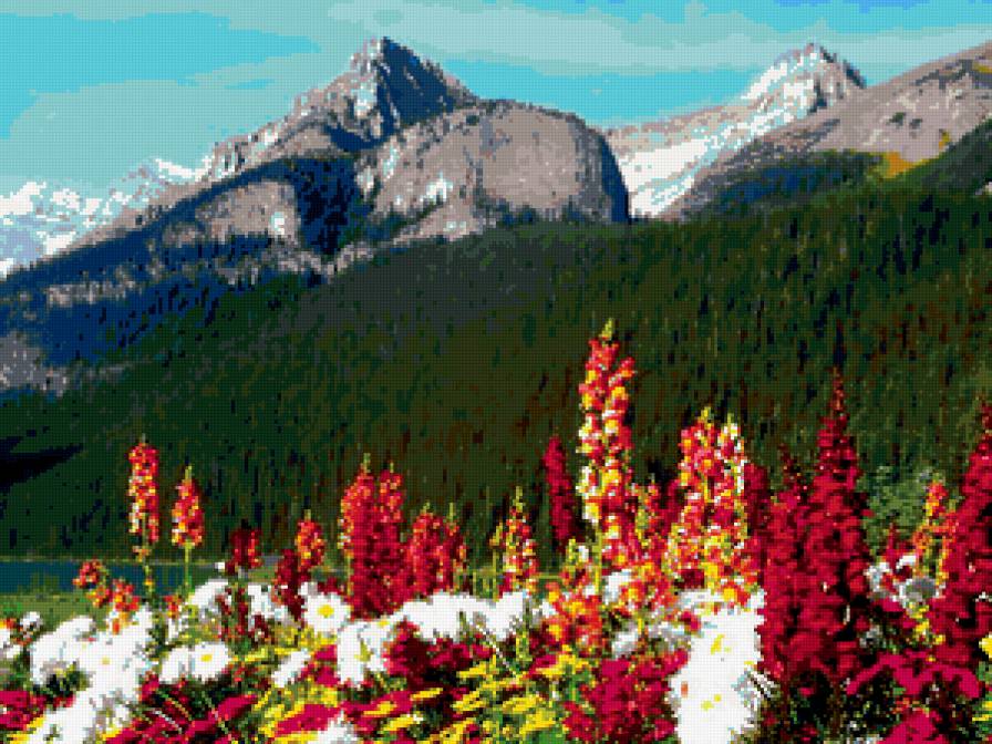 пейзаж - цветы, пейзаж, горы - предпросмотр
