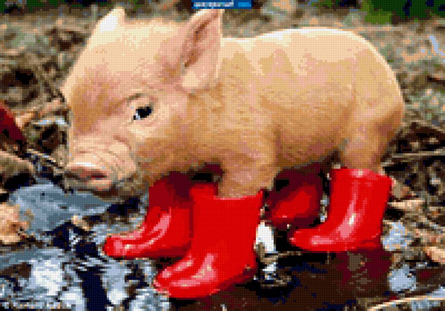 наф-наф - свиньи, животные, поросята - предпросмотр