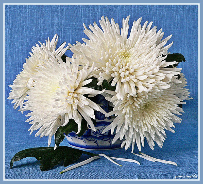 Серия "Букет" - хризантемы, букет, цветы - оригинал