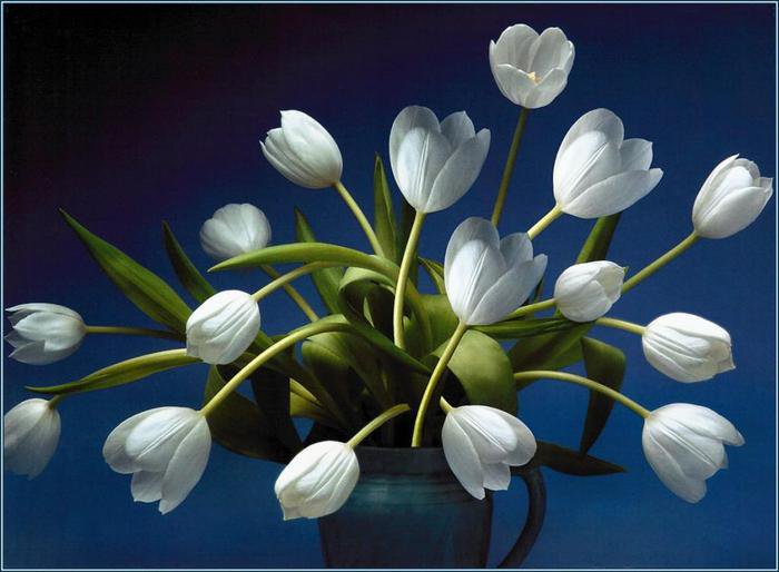 Серия "Букет" - букет, цветы, тюльпаны - оригинал