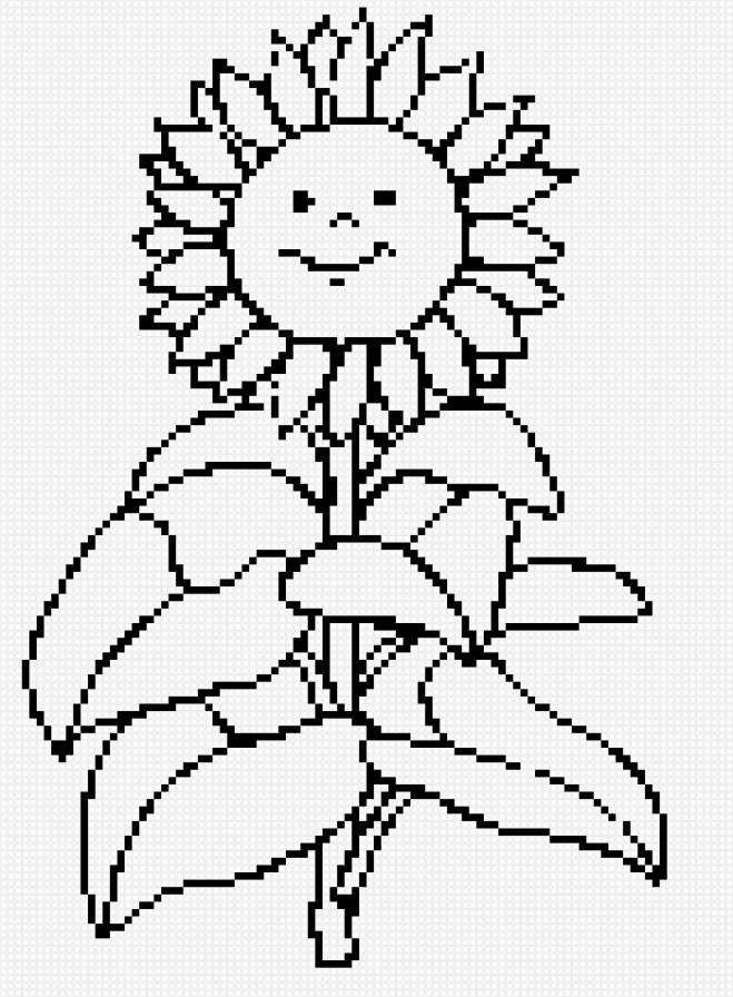 ПОДСОЛНУШЕК - цветы монхром - предпросмотр