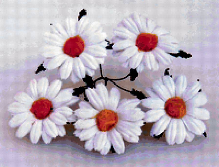 РОМАШКИ - цветы - предпросмотр