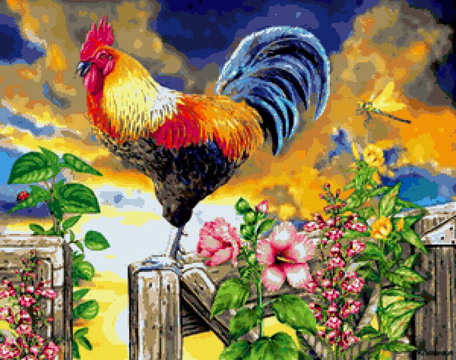 петушок-золотой гребешок - предпросмотр