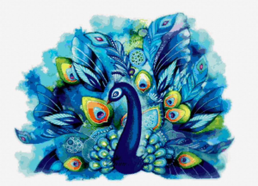 Павлин - птицы - предпросмотр