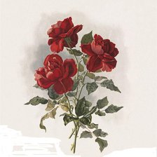 Оригинал схемы вышивки «три алых розы» (№392335)