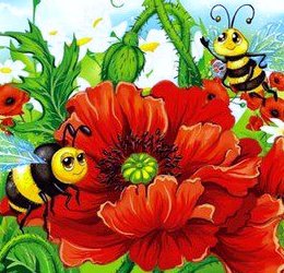 Пчелиная пара - цветы, красный мак, пчелки - оригинал