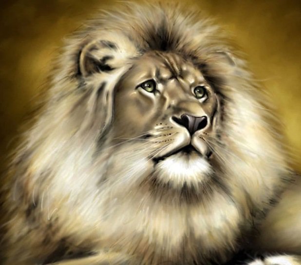 Белый лев - лев, звери, животные, хищник, царь - оригинал