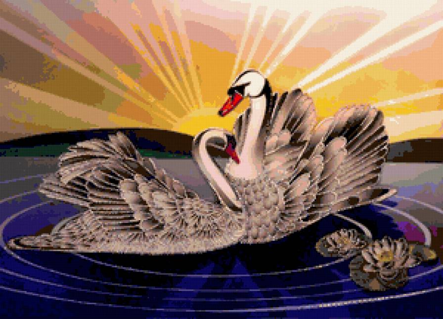 пара лебедей - предпросмотр