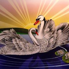 пара лебедей