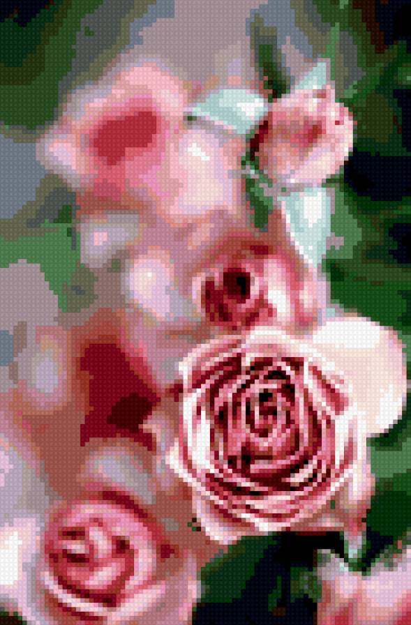 Розы - цветы, розы - предпросмотр